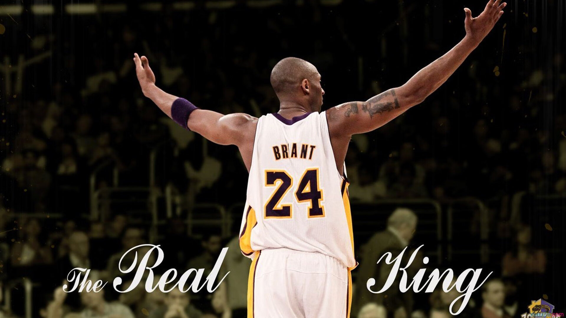 影响深远：NBA持续探索绿色环保新举措，nba环保周