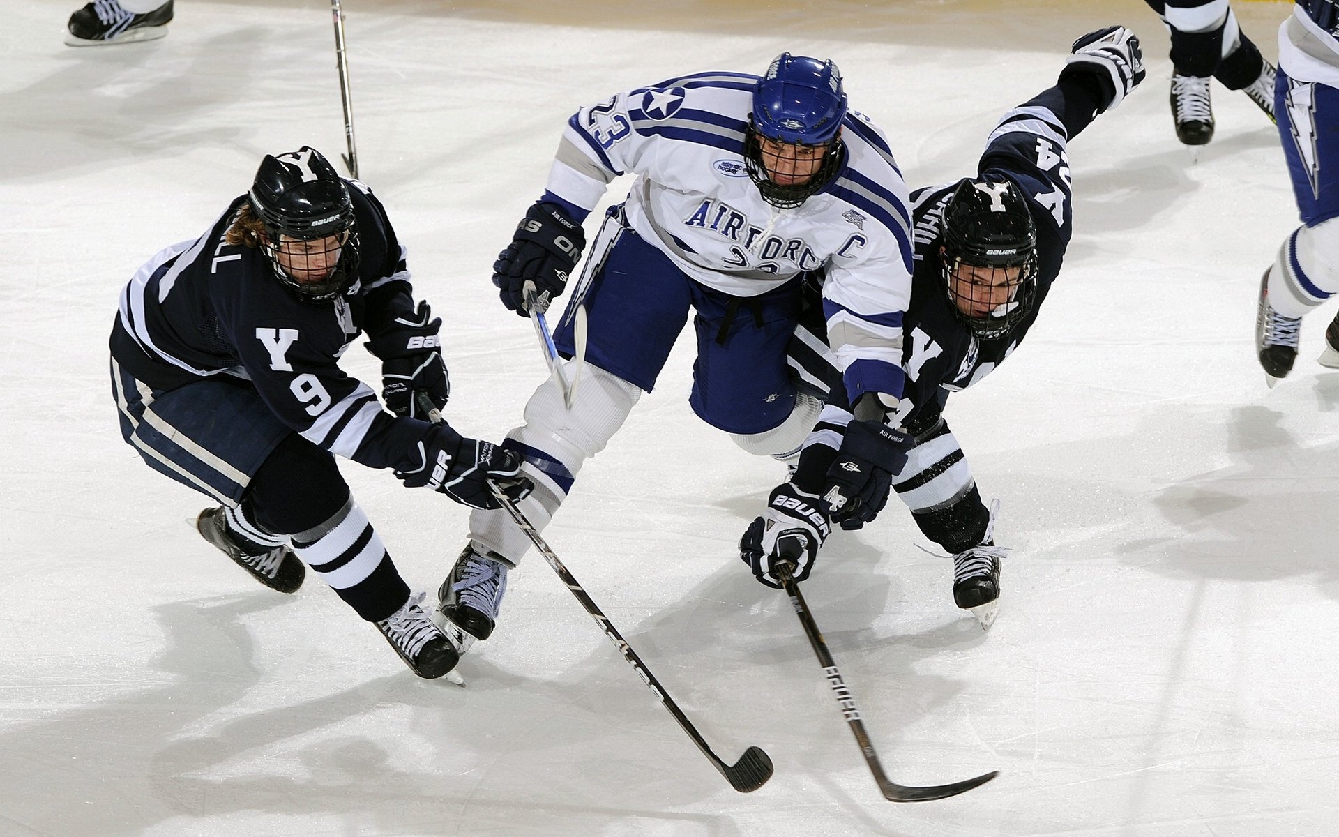 球场外的感人故事：运动员的公益行动，运动员做公益