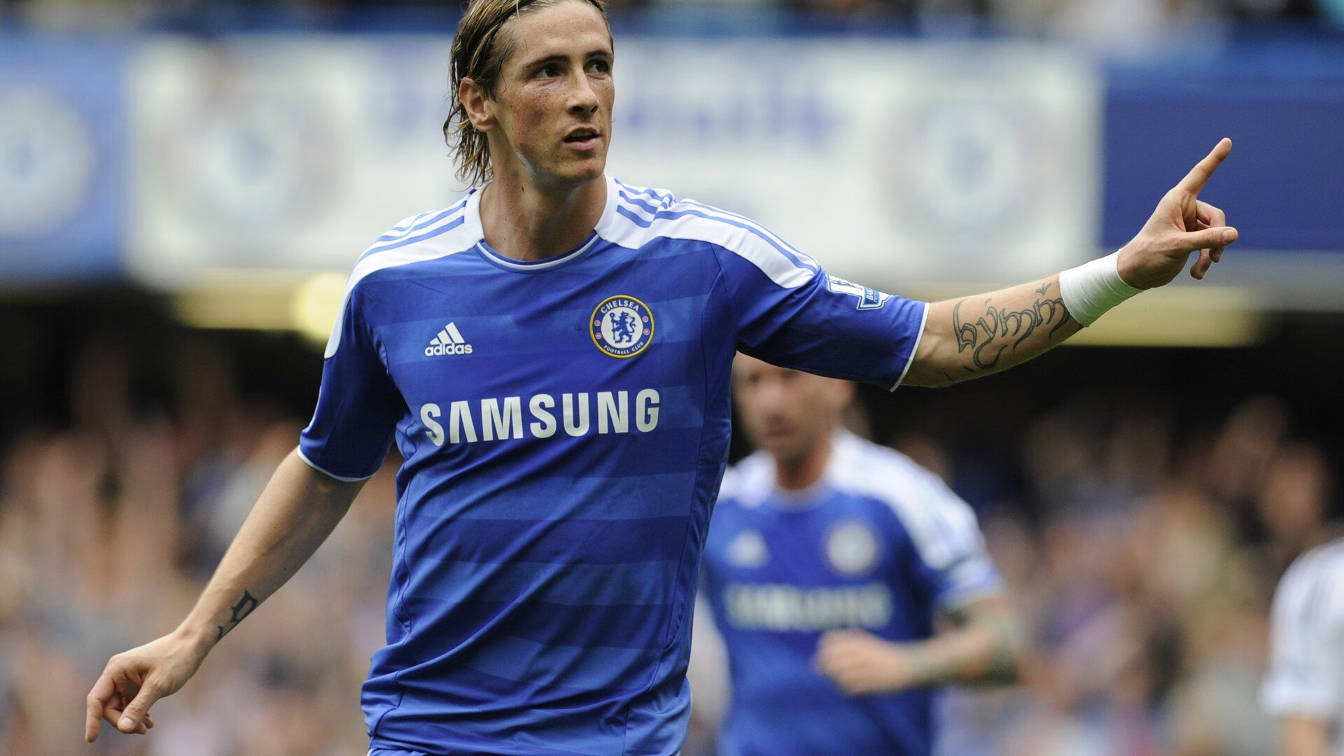 瑞士马术协会授予史蒂夫·古尔达特“年度最佳盛装舞步骑手”称号。